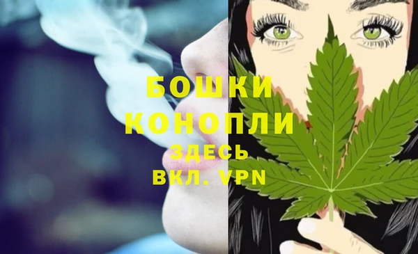 2c-b Ельня