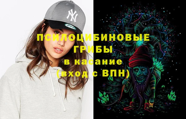 дурь Елизово