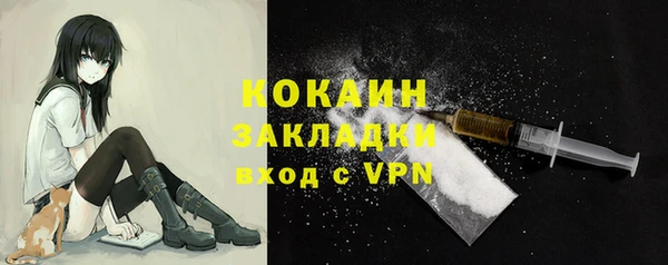 крисы Елабуга