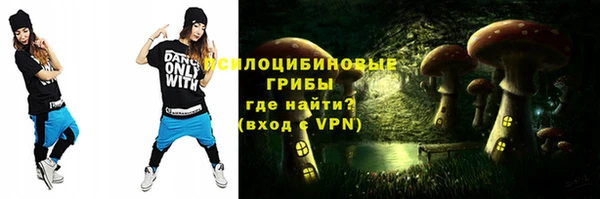крисы Елабуга