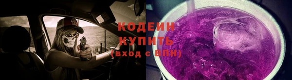 крисы Елабуга