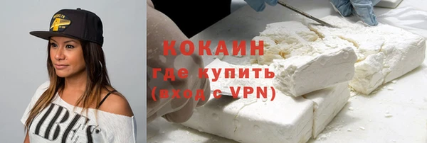 крисы Елабуга