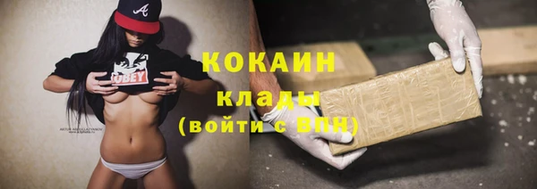 2c-b Ельня