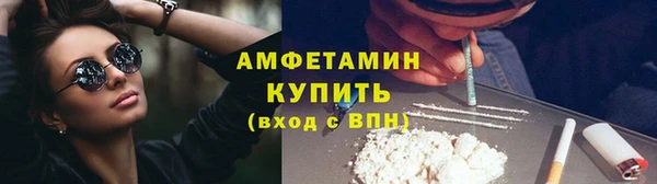 крисы Елабуга
