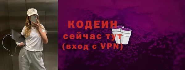 2c-b Ельня