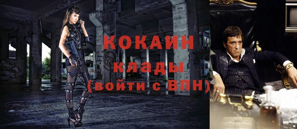 дурь Елизово