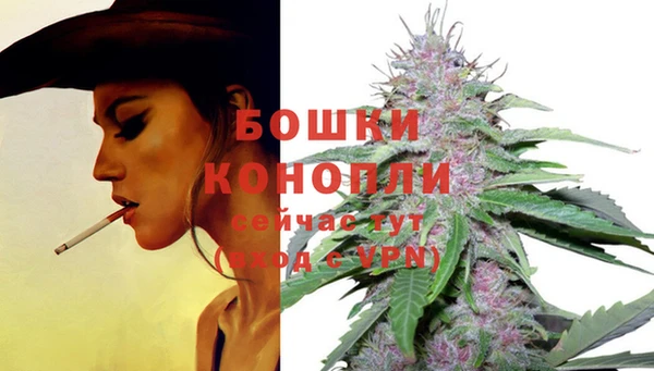 дурь Елизово