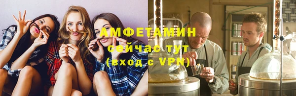 крисы Елабуга